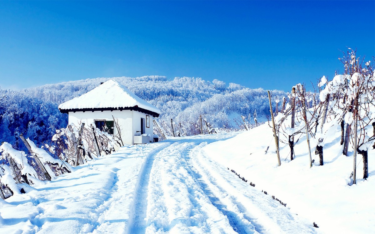 冬季雪景圖片19