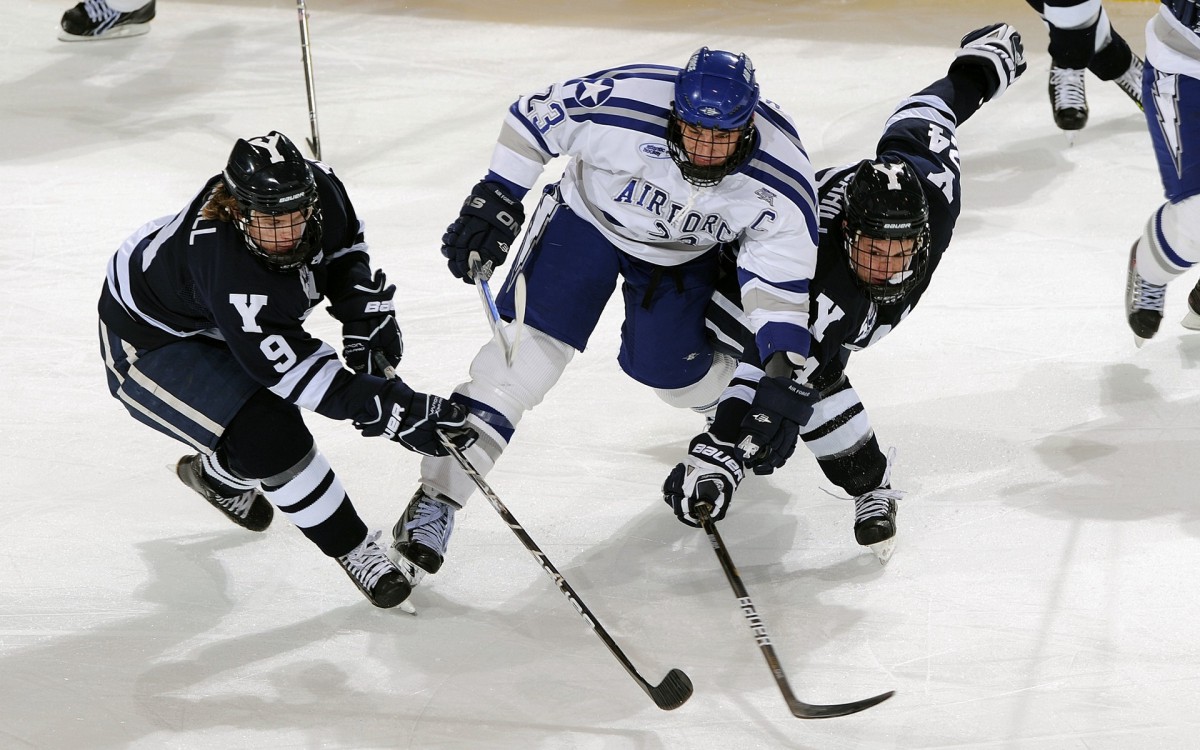 冰上曲棍球比赛图片16