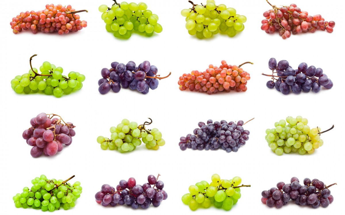 高清葡萄大图图片(4/8)