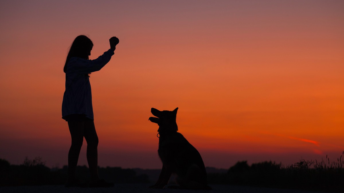 背光拍摄的人物照片47