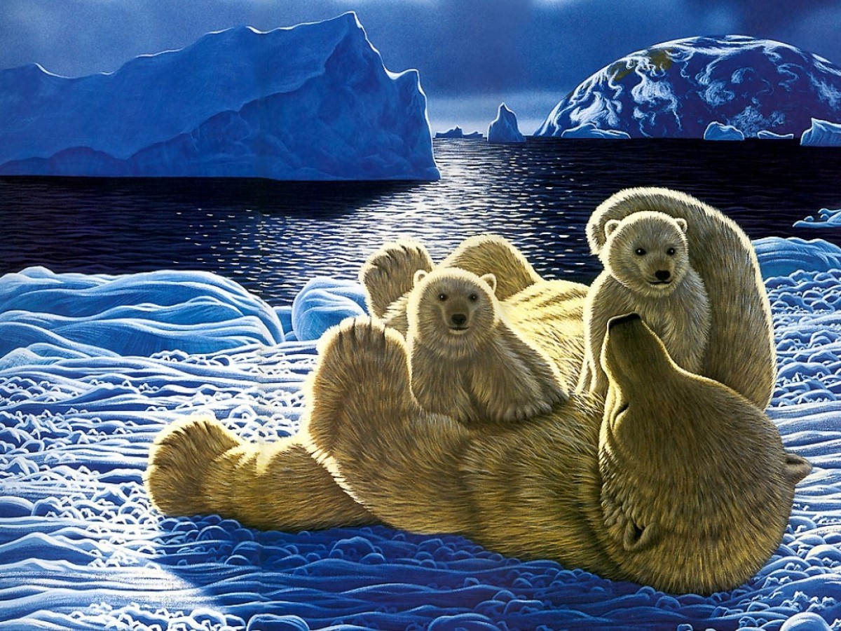 动物星球第一辑120