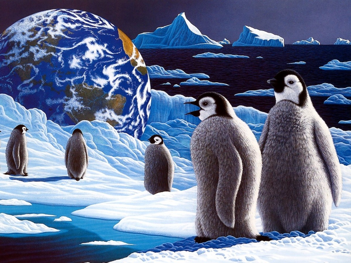 动物星球 第一辑(5/20)