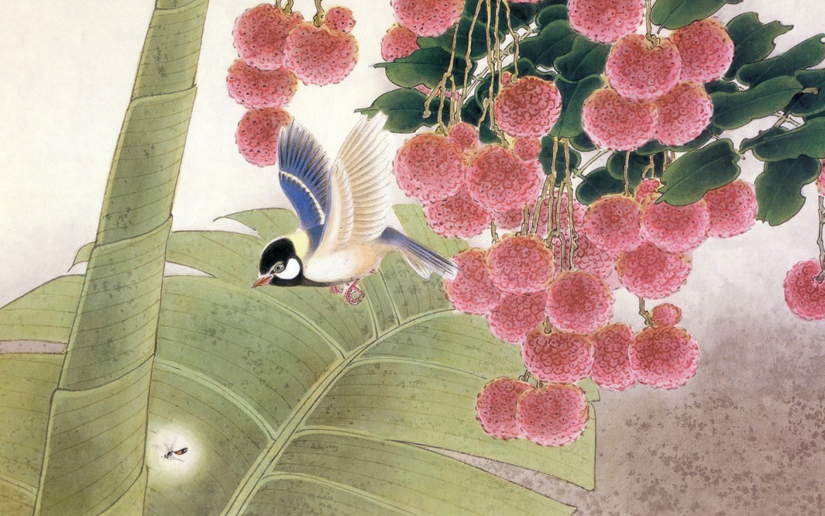 手绘花鸟 第一辑-手绘壁纸-高清手绘图片-第15图-娟娟壁纸