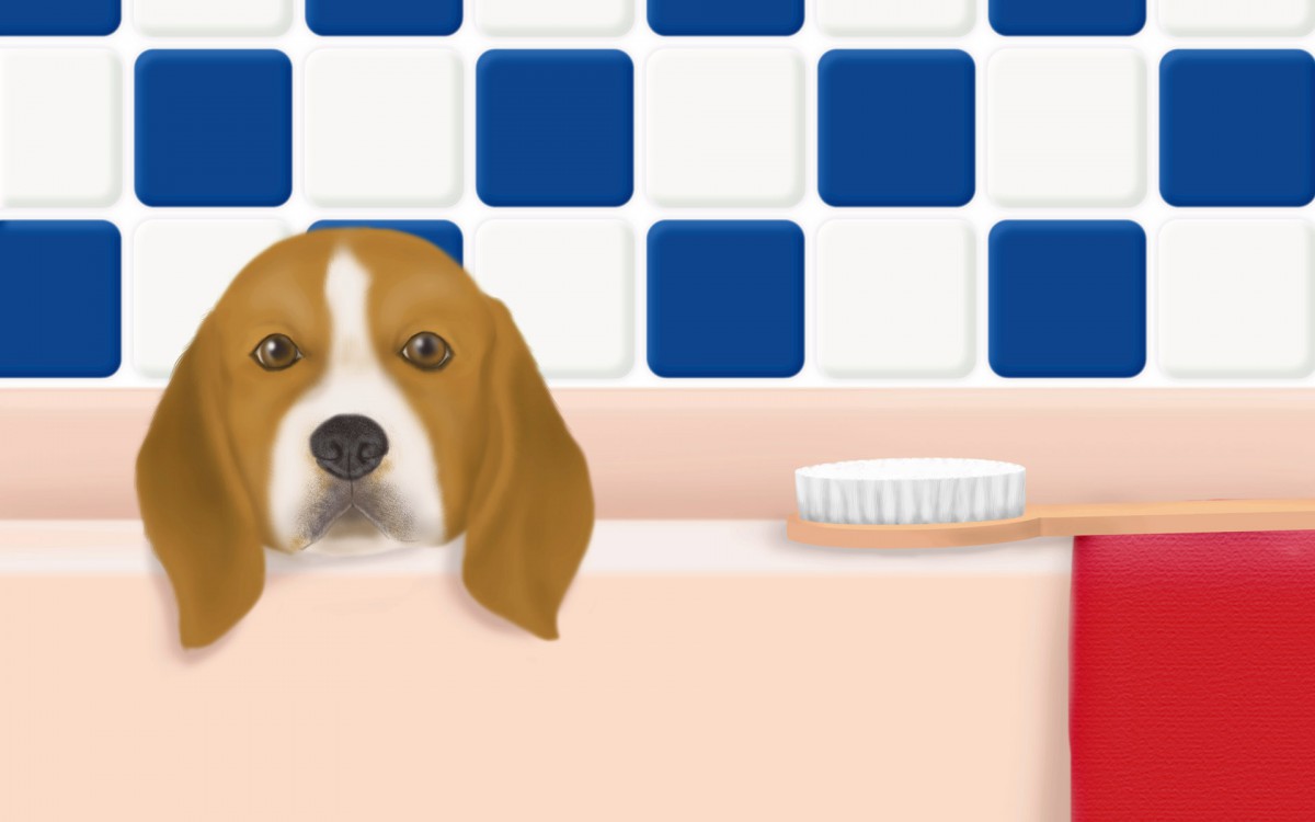 手绘小狗 第一辑-手绘壁纸-高清手绘图片-第16图-娟娟壁纸