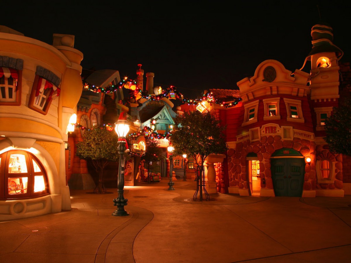 迪斯尼乐园夜景 第一辑(13/20)