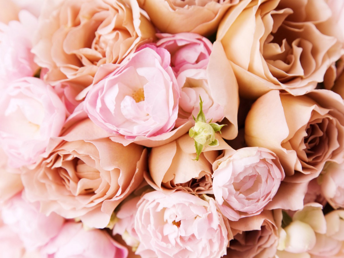 婚礼鲜花第二辑820