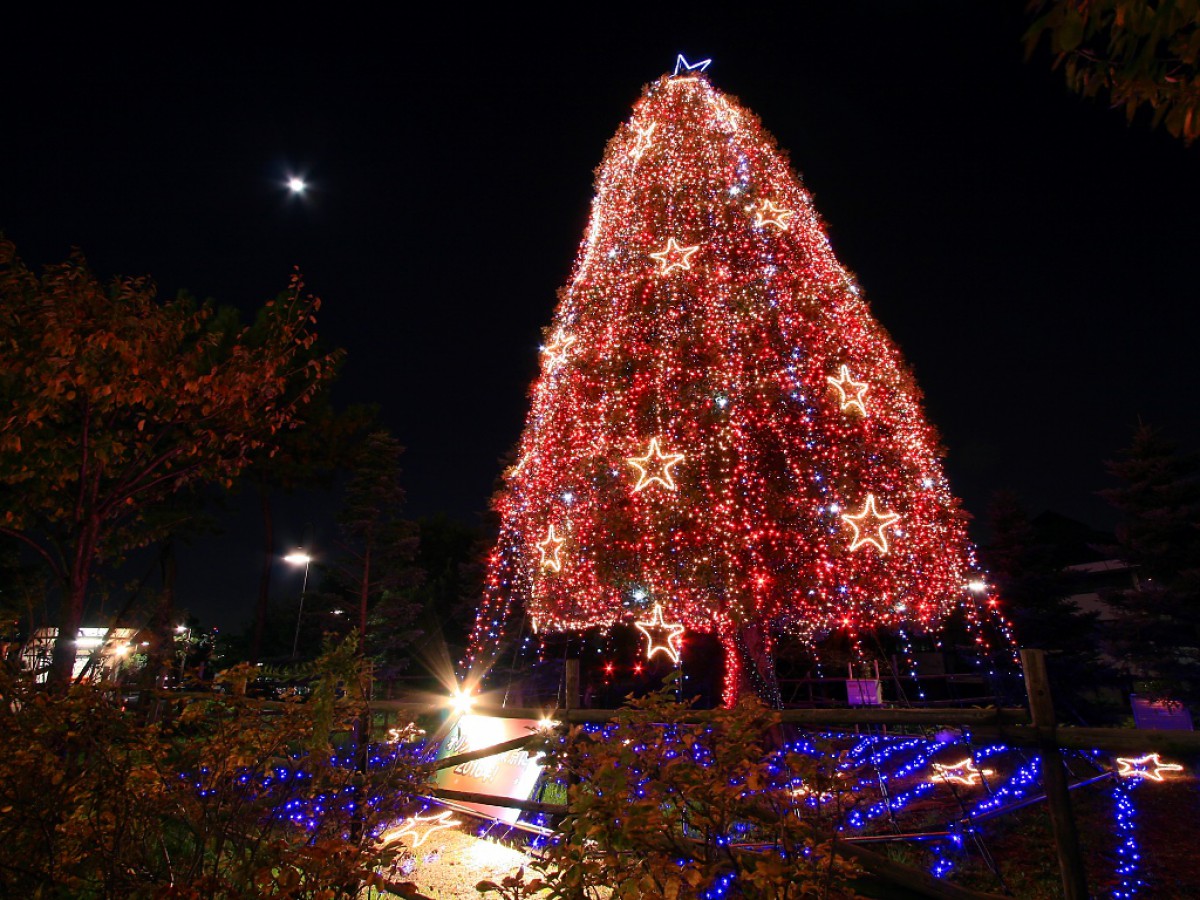 圣诞夜景 第二辑(2/20)