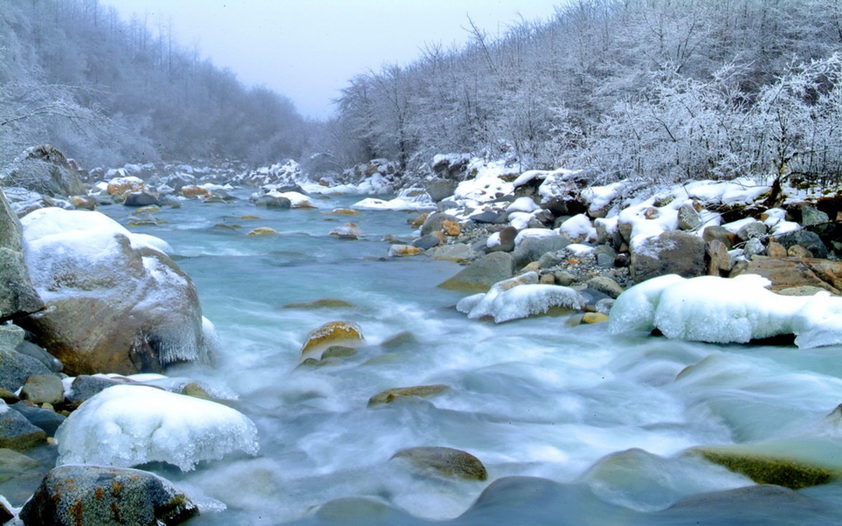 冬天小溪的景色图片