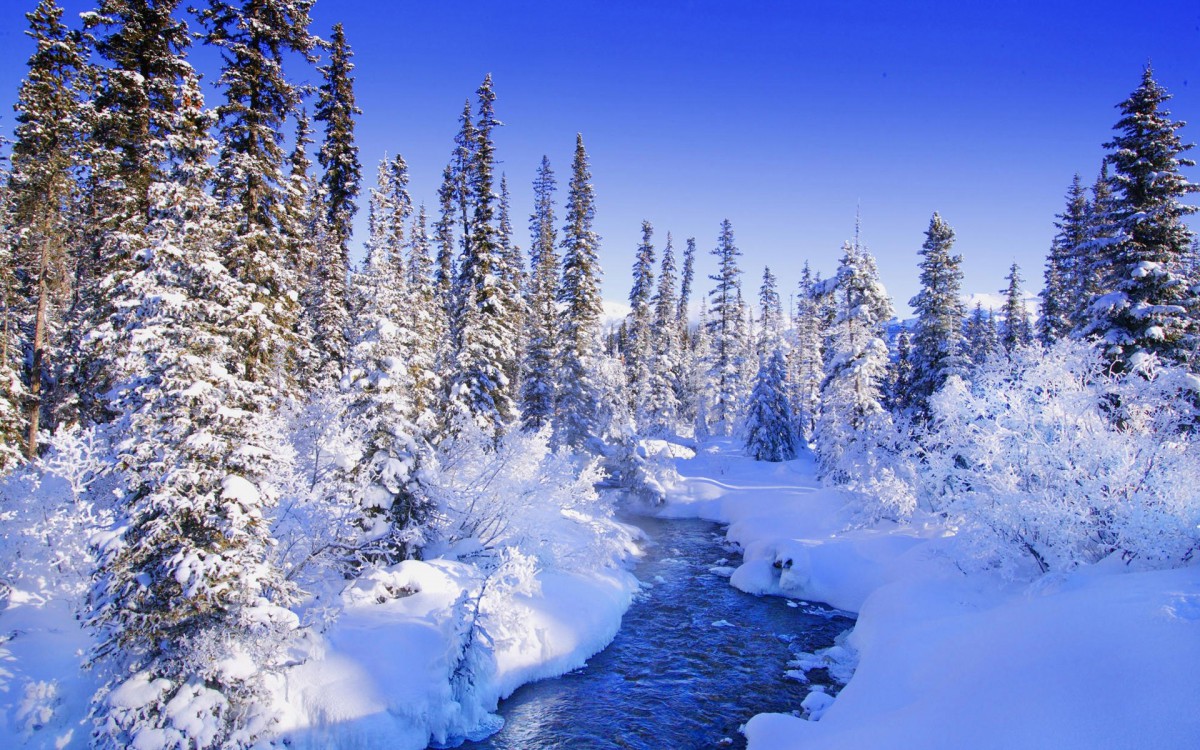 冬季漫天飞雪雪景图片 风景壁纸 高清风景图片 娟娟壁纸