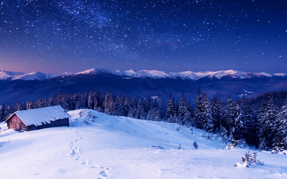 冬季漫天飛雪雪景圖片58