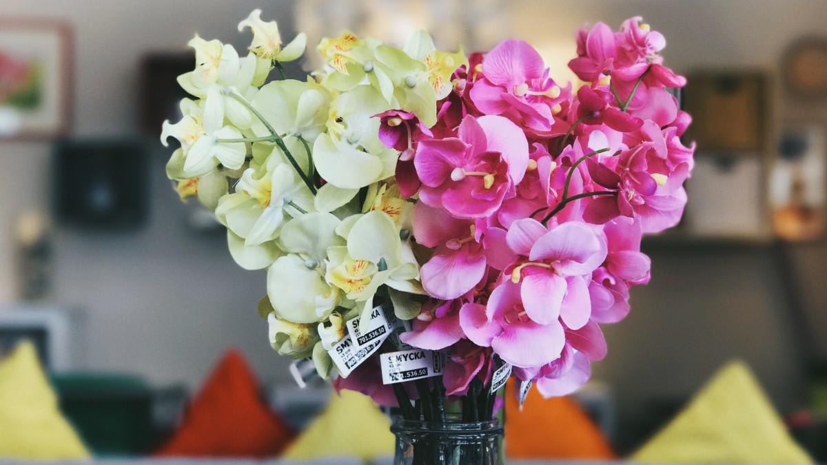 精美室内花瓶鲜花图片1115