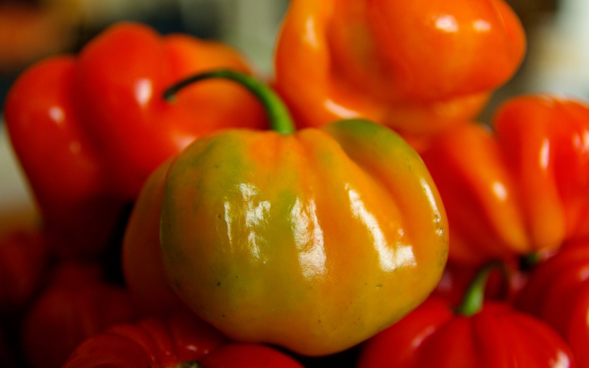 蔬菜甜椒图片89