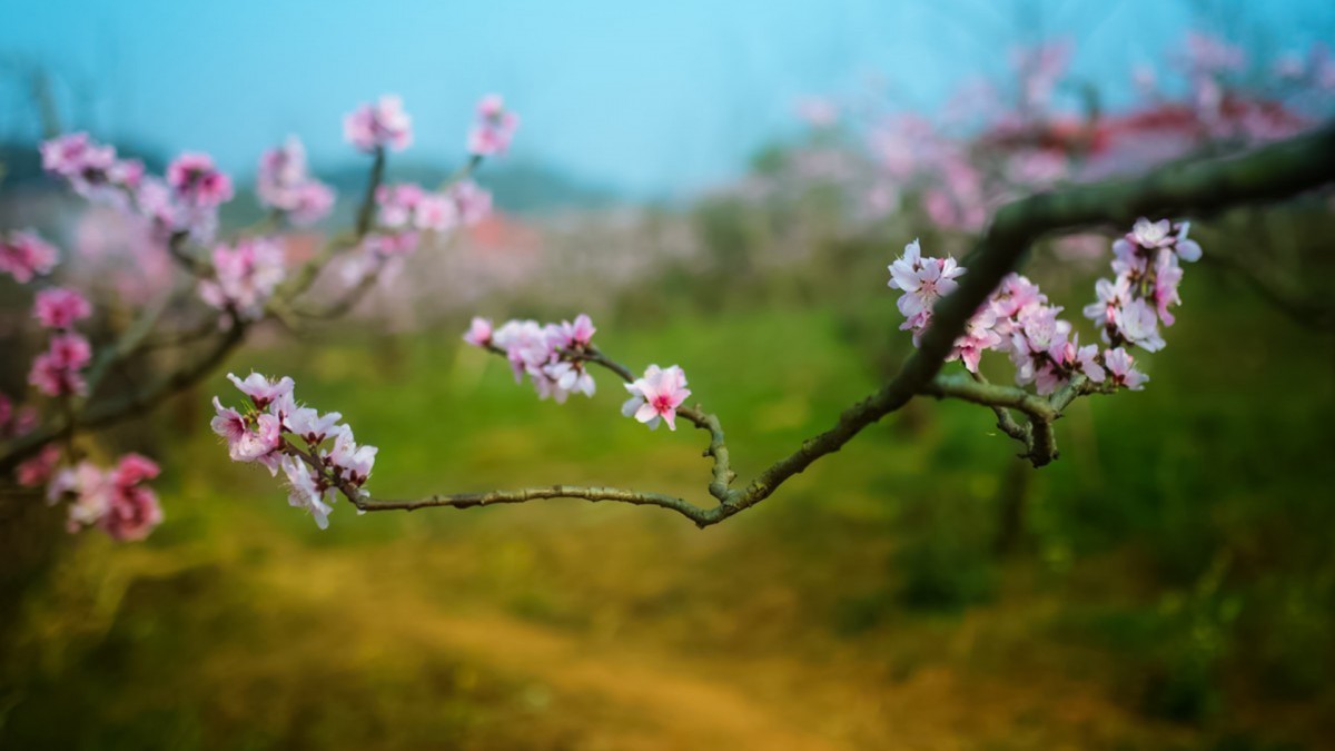 原图你的电脑分辨率(1600x1600)→生成壁纸显示:√欣赏模式全屏模式