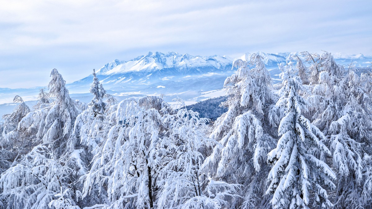唯美冬季雪景图片壁纸914