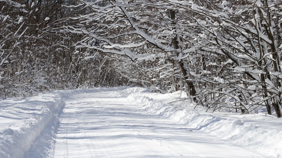 積雪白雪雪景圖片1115