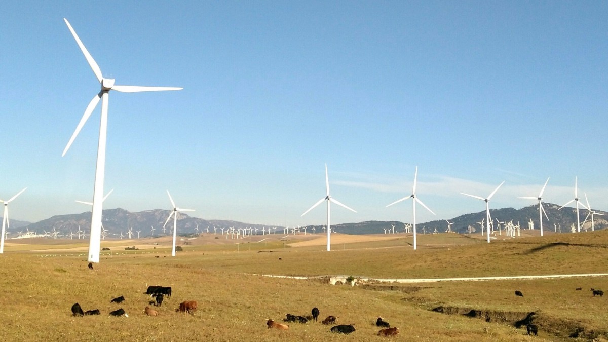 再生新能源风力发电图片