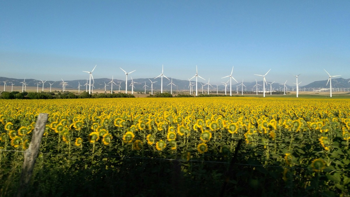 再生新能源風力發電圖片-風景壁紙-高清風景圖片-第7圖-娟娟壁紙