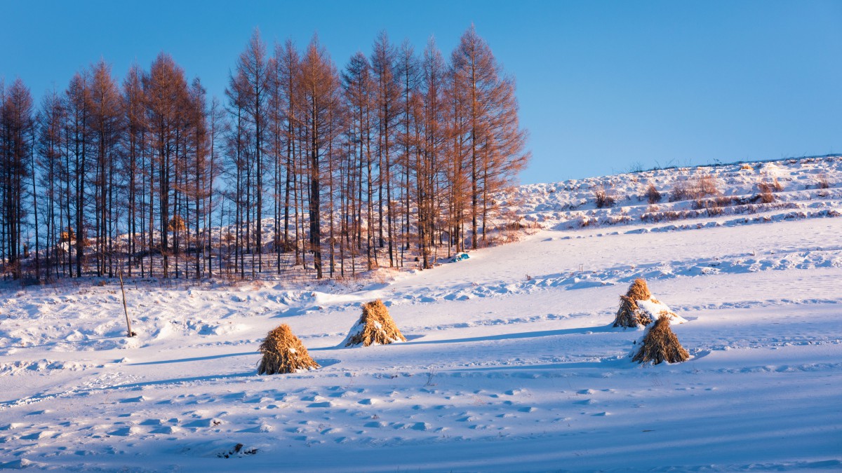 冬季雪景圖片大全211