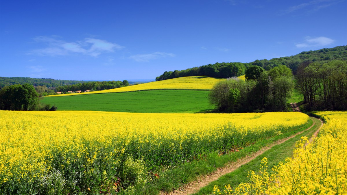 精选高清优美风景图片315