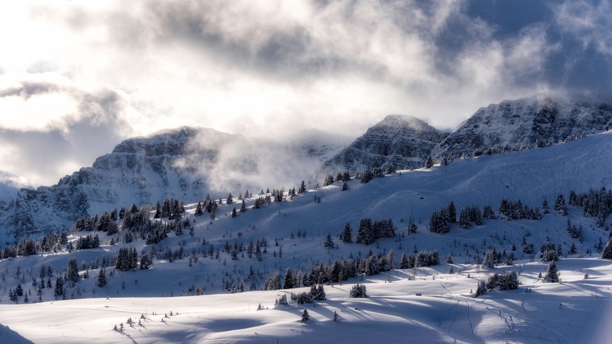 寒冷的冬季白雪雪地美景图片-风景壁纸-高清风景图片-第7图-娟娟壁纸
