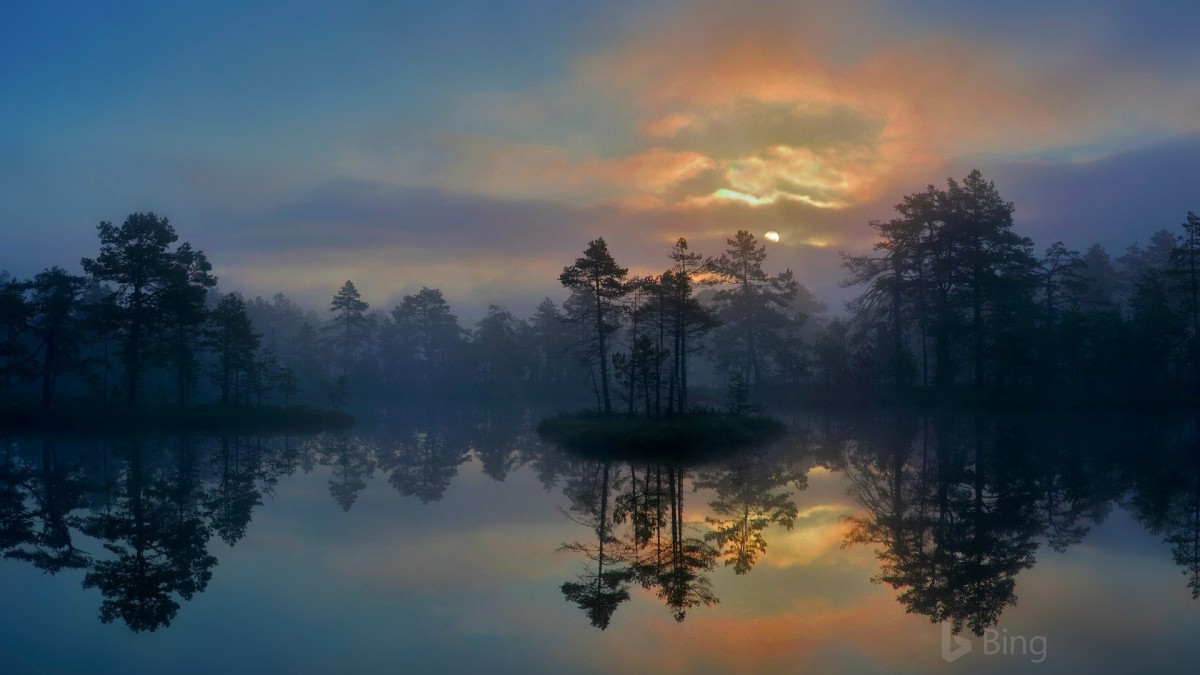 2018年bing官方主题壁纸811