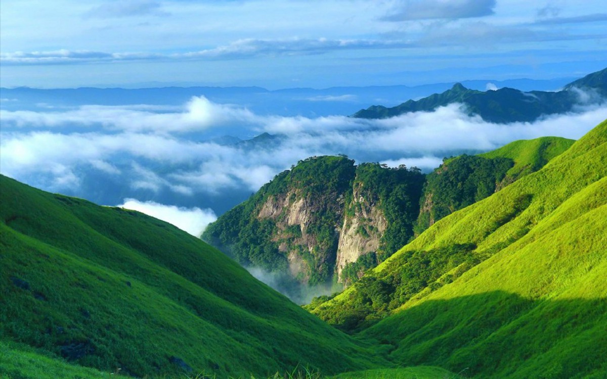 唯美绿色护眼风景图片壁纸(8/10)