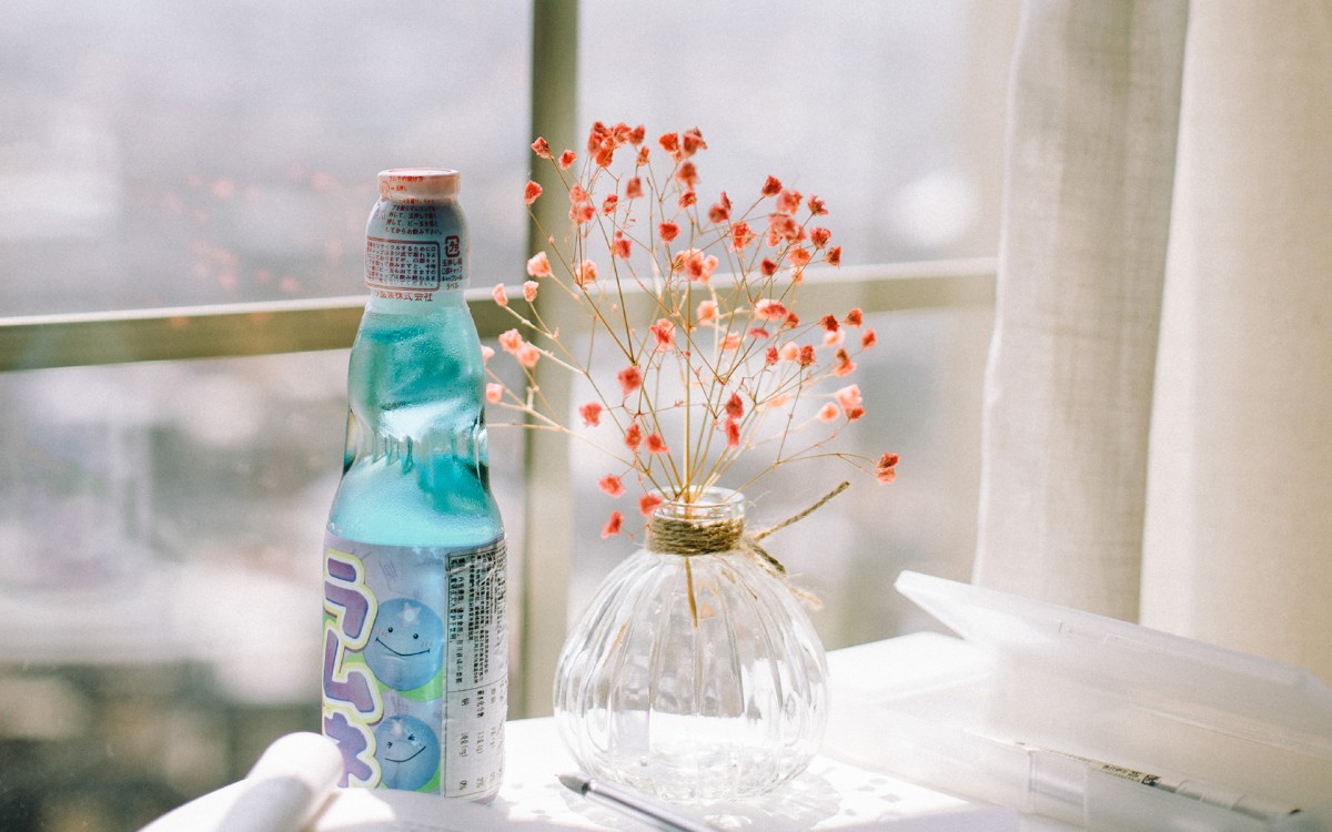 室内小清闲花卉图片39