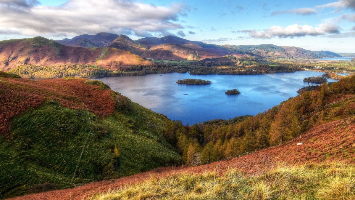 原图你的电脑分辨率(1600x1600)→生成壁纸显示:√欣赏模式全屏模式