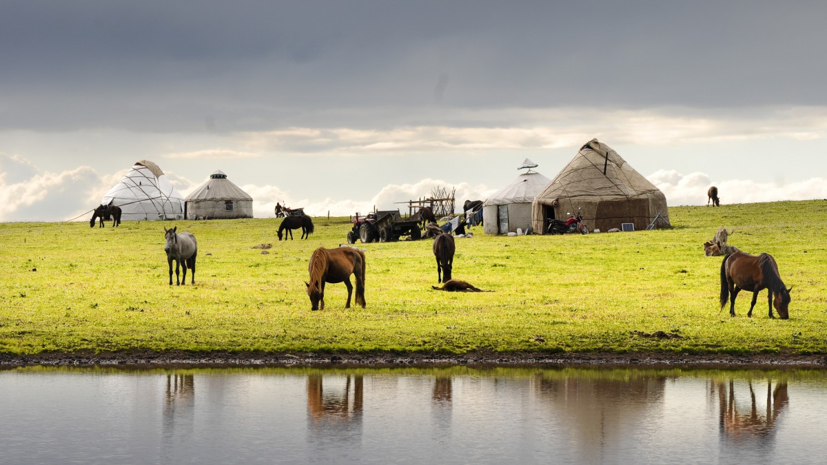 绿色天山牧场草原图片812