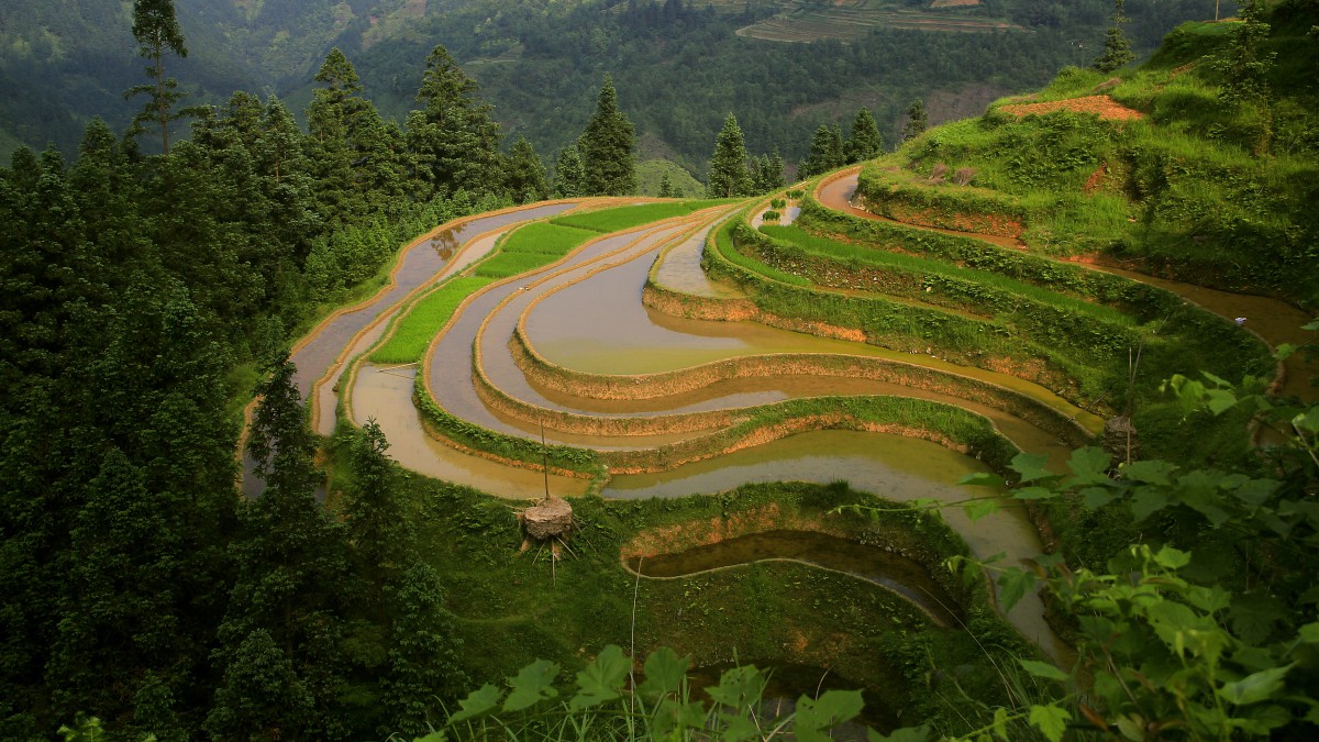 好看的梯田风景图片-风景壁纸-高清风景图片-第4图-娟娟壁纸