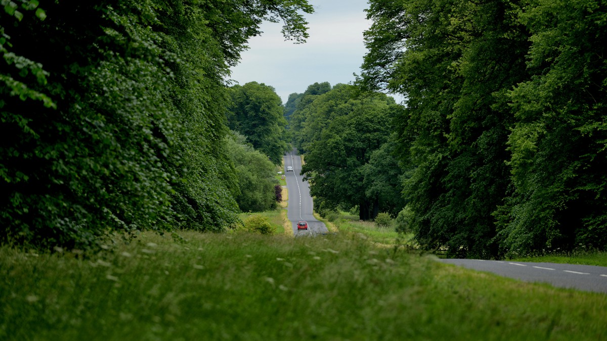 英國霍華德莊園風景圖片-風景壁紙-高清風景圖片-第3圖-娟娟壁紙