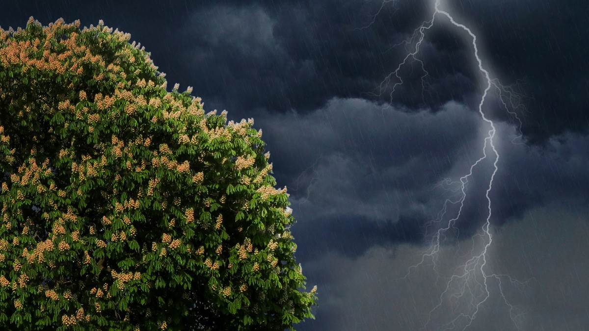 电闪雷鸣图片-风景壁纸-高清风景图片-第2图-娟娟壁纸