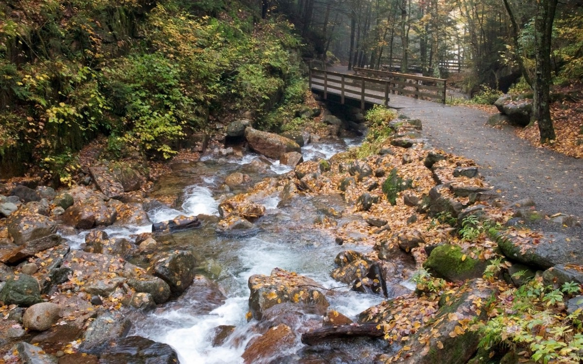 森林山間小溪流水圖片-風景壁紙-高清風景圖片-第6圖-娟娟壁紙