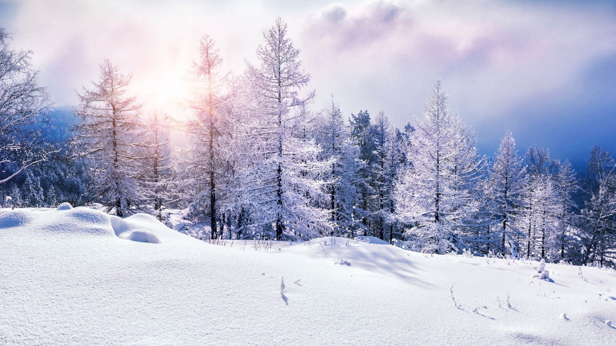 超高清雪景大圖大全-風景壁紙-高清風景圖片-第11圖-娟娟壁紙