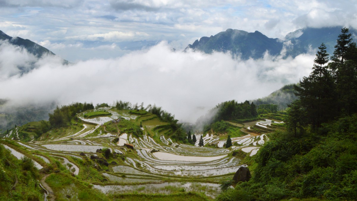 雲和梯田風景圖片-風景壁紙-高清風景圖片-第5圖-娟娟壁紙