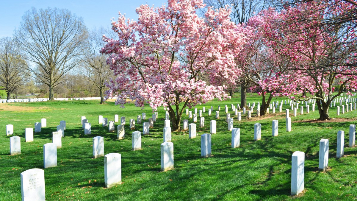 寂静的墓地图片-风景壁纸-高清风景图片-娟娟壁纸