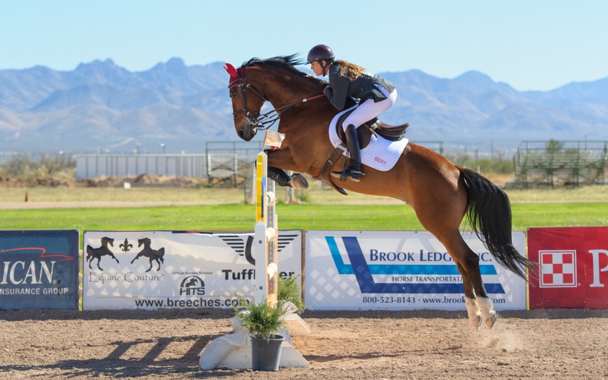 骑马马术运动图片67