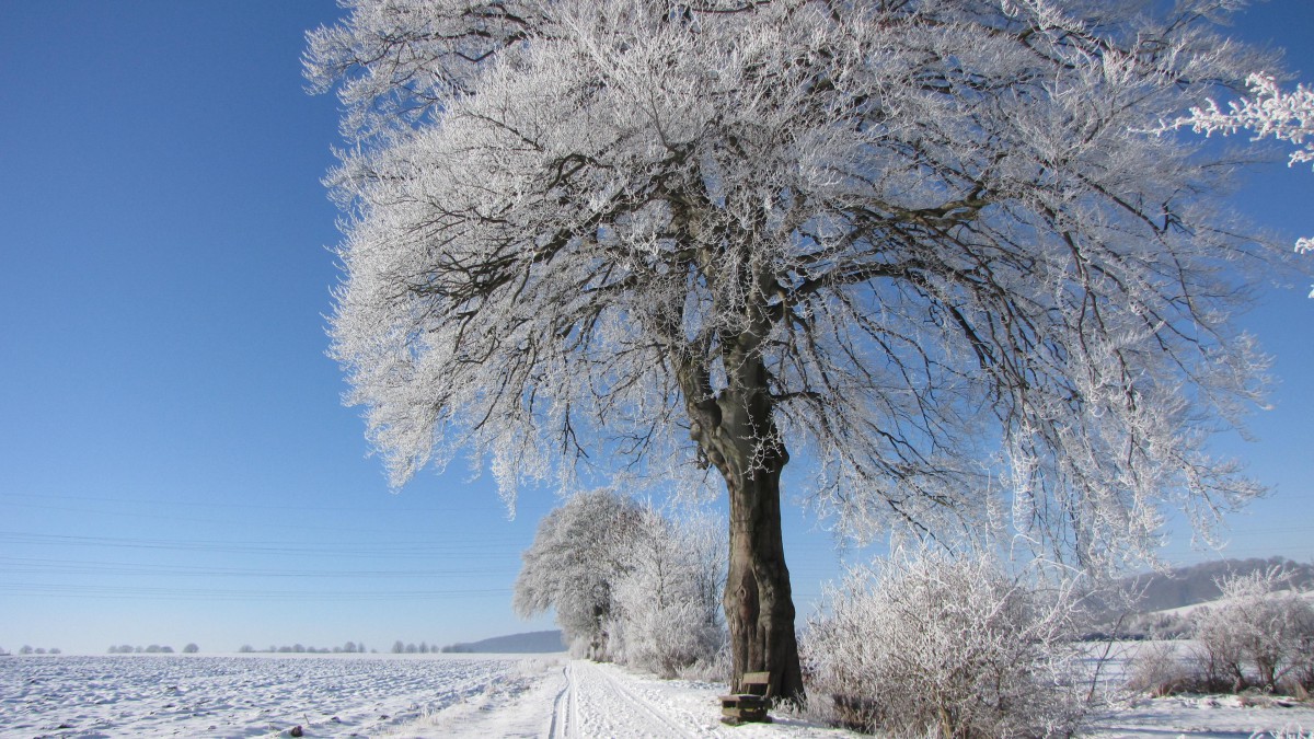 冬季高清雪景圖片大全17