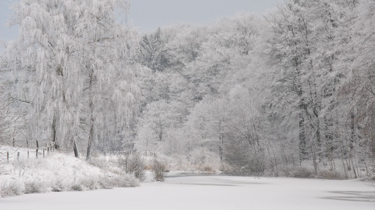 冬季高清雪景圖片大全-風景壁紙-高清風景圖片-第4圖-娟娟壁紙