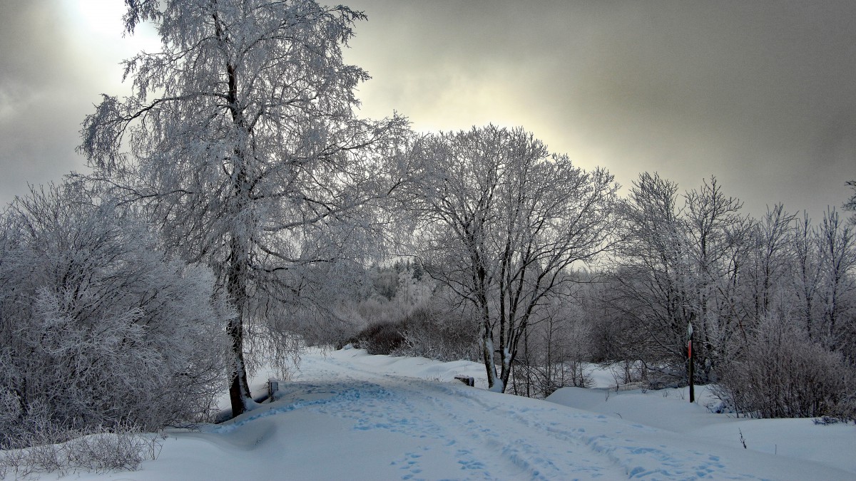 冬季高清雪景圖片大全-風景壁紙-高清風景圖片-第5圖-娟娟壁紙