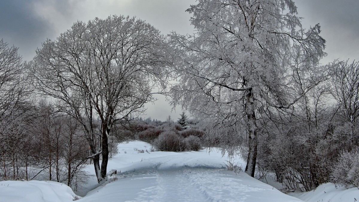 冬季高清雪景图片大全67