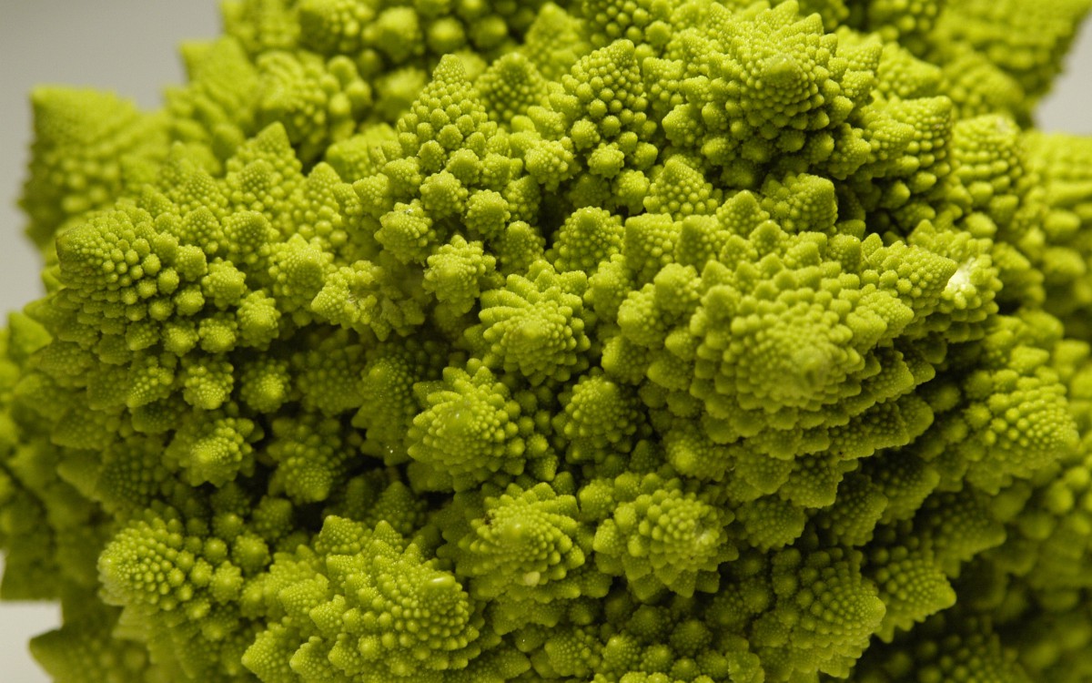 宝塔菜的图片610