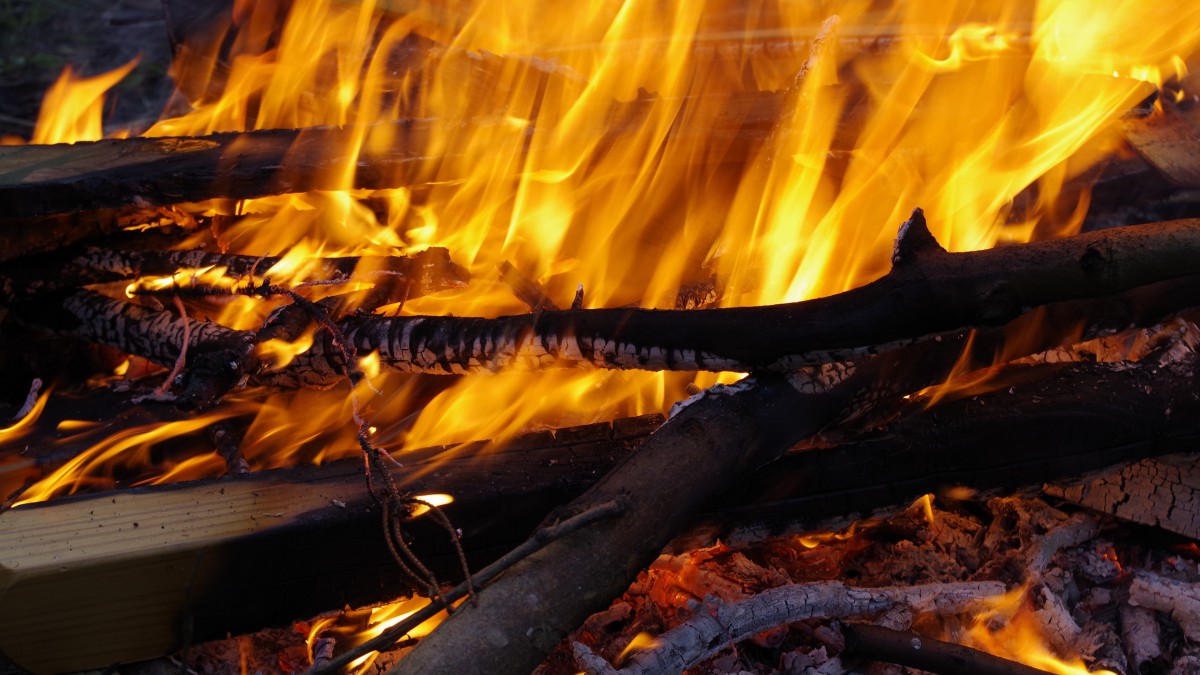 燃烧的木炭篝火火焰图片1010