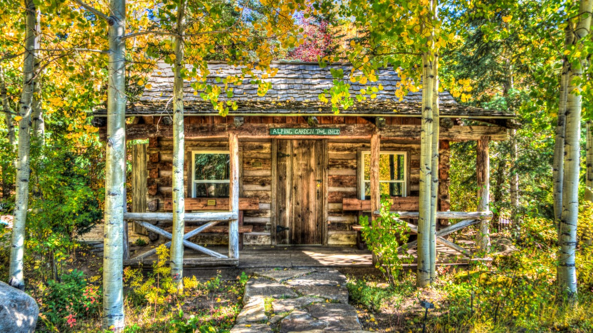 森林里寂静的小木屋风景图片(1/15)