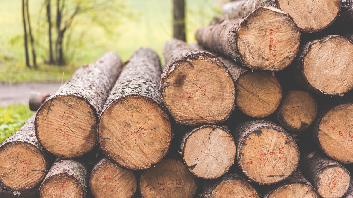 堆积在一起的木材图片-静物壁纸-高清静物图片-娟娟壁纸