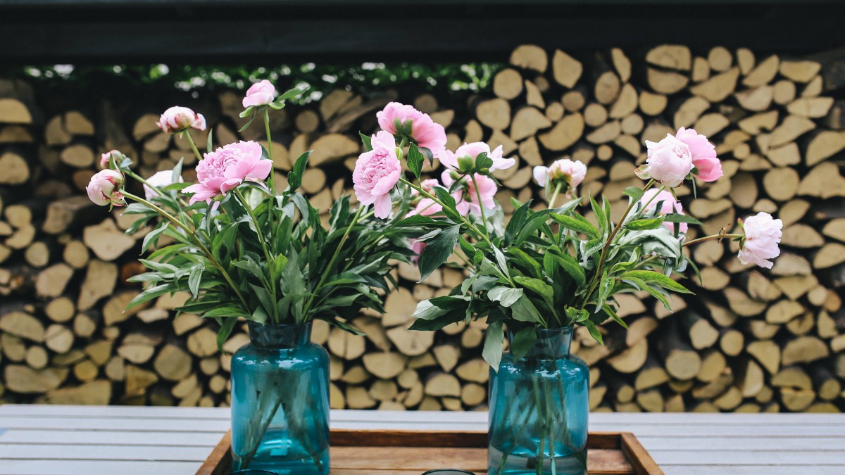 高清花瓶里的鲜花图片-静物壁纸-高清静物图片-第4图-娟娟壁纸