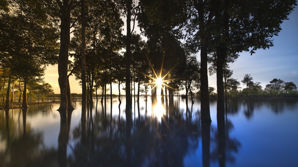 7k树木水面倒影风景图片-风景壁纸-高清风景图片-第7图-娟娟壁纸