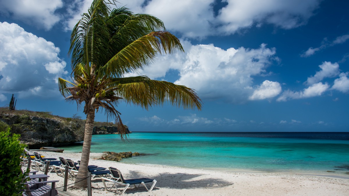 原图你的电脑分辨率(1600x1600)→生成壁纸显示:√欣赏模式全屏模式