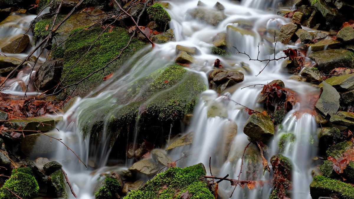 原图你的电脑分辨率(1600x1600)→生成壁纸显示:√欣赏模式全屏模式