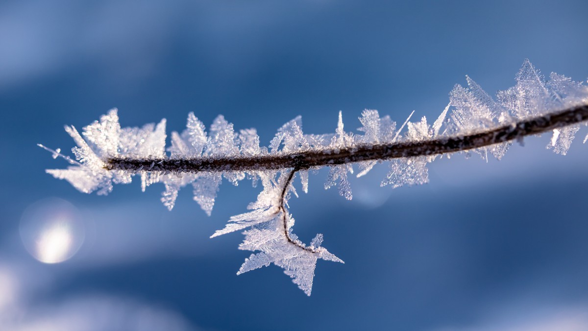 寒冷的冰雪霜冻图片1213